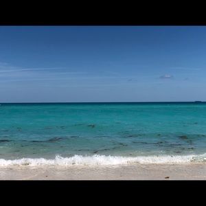 Meet your Posher, Amelie